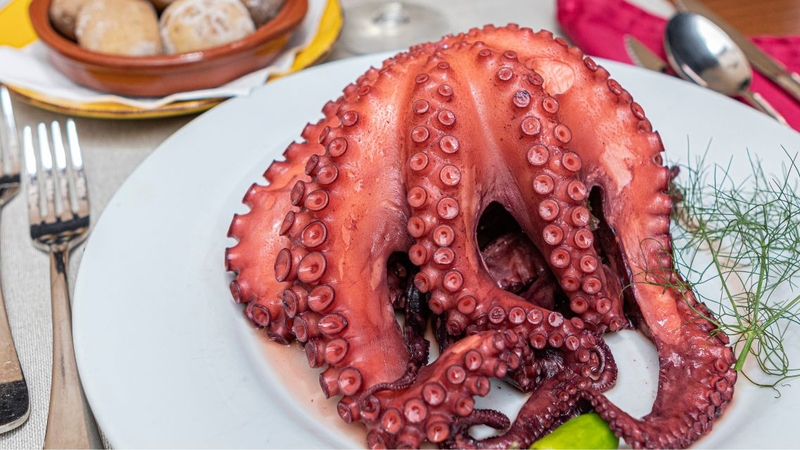 Ăn bạch tuộc có tốt không? Giá trị dinh dưỡng và lợi ích đối với sức khỏe 1