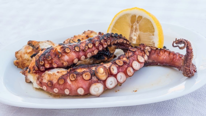 Ăn bạch tuộc có tốt không? Giá trị dinh dưỡng và lợi ích đối với sức khỏe 4