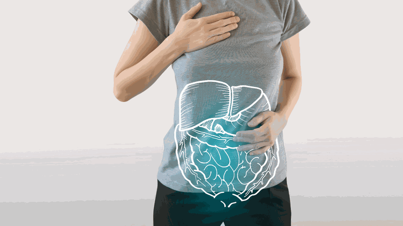 Bạch tuộc bao nhiêu calo? Tác dụng của bạch tuộc 2