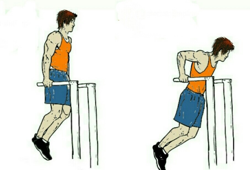 bai-tap-chest-dip-giup-phat-trien-co-nguc 2.jpg