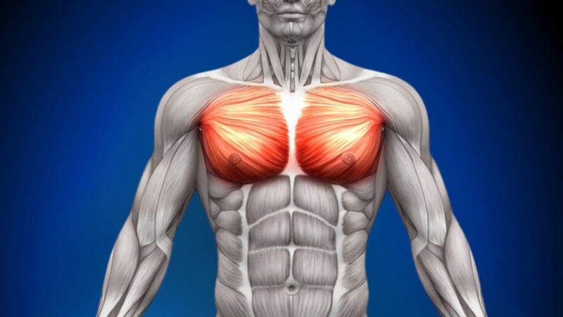 Bài tập Decline Push Up phát triển ngực trên hiệu quả 1