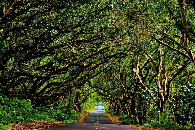 Bài tập mắt lác đơn giản hiệu quả 2