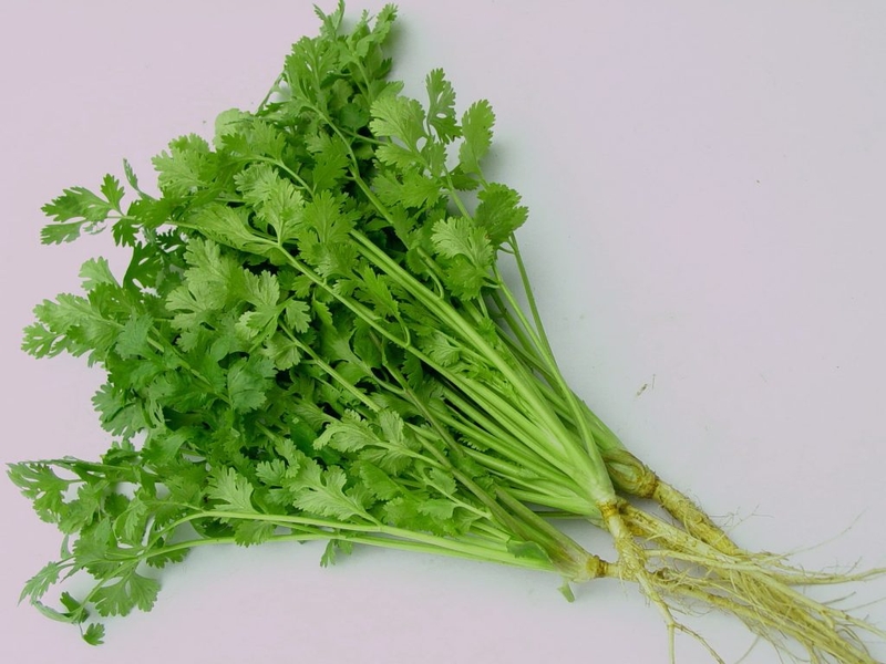 Bài thuốc chữa viêm hang vị dạ dày từ 5 loại nước uống dễ làm