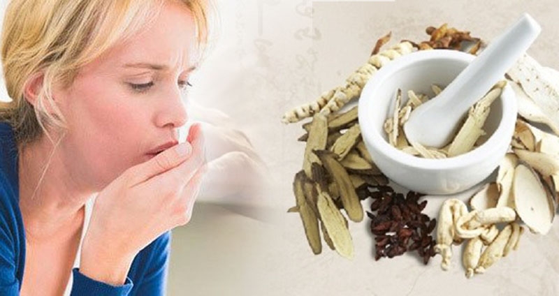 Chữa viêm phế quản co thắt bằng đông y mang lại nhiều hiệu quả