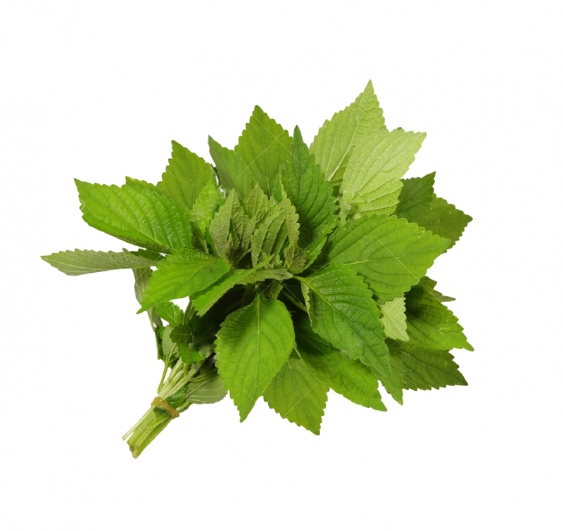 Bài thuốc dân gian chữa bệnh cảm cúm ho sốt hiệu quả