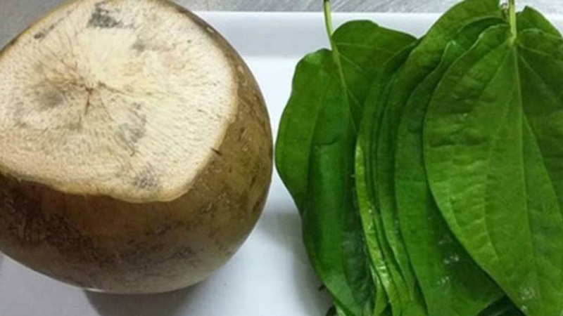 Bài thuốc cải thiện bệnh gout từ lá trầu và nước dừa