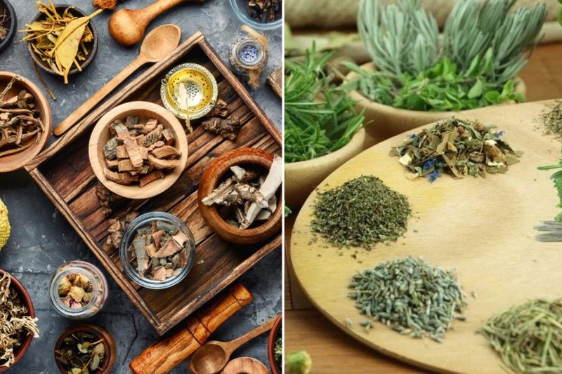 4T là gì? Thực hành liệu pháp 4T trong chăm sóc bệnh mạn tính và ung thư 5