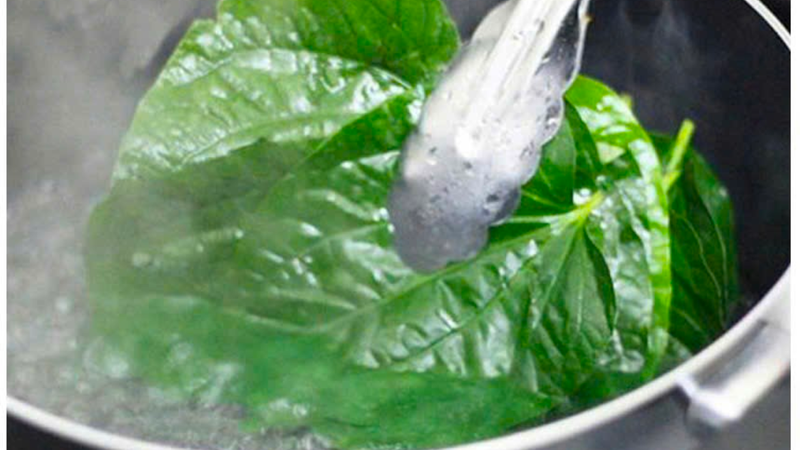 Nước lá trầu không chỉ nên dùng rửa ngoài, có thể giúp làm sạch nhẹ nhưng cần pha loãng và dùng đúng cách
