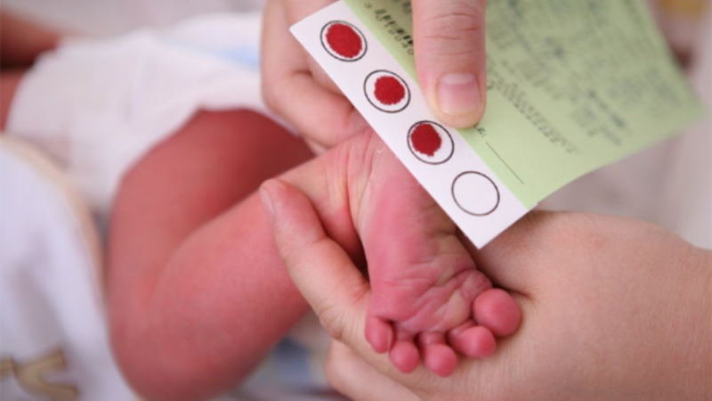 Sàng lọc sơ sinh bằng xét nghiệm máu gót chân giúp phát hiện sớm galactosemia
