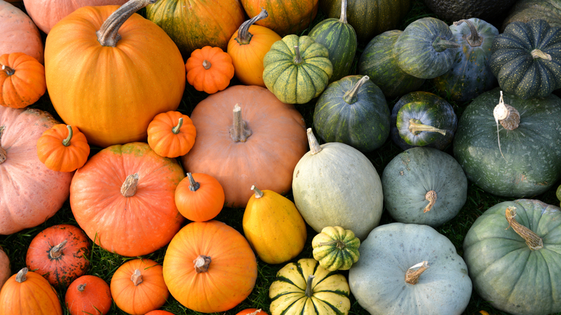 Bí đỏ là loại rau củ thuộc họ bầu bí, giàu beta-carotene và có vị ngọt bùi đặc trưng