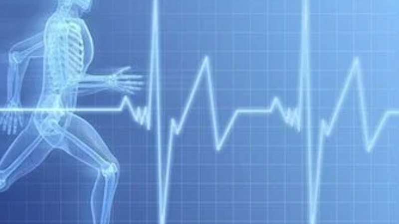 Nhịp tim Zone 2 là vùng nhịp tim nằm trong khoảng 60 - 70% nhịp tim tối đa