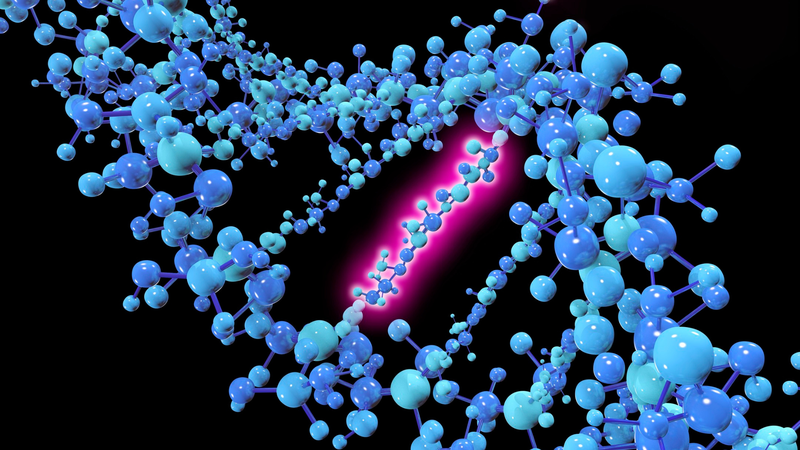 rRNA là thành phần quan trọng nhất của Ribosome và tham gia trực tiếp vào tạo liên kết peptit
