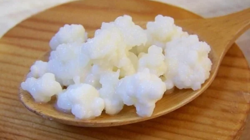 Kefir đã trở thành một trong những thực phẩm lên men phổ biến tại nhiều quốc gia trên thế giới
