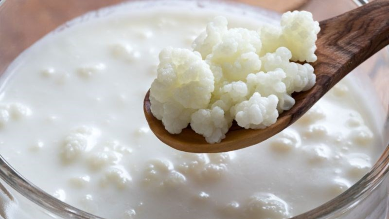 Sữa chua Kefir cung cấp protein, canxi, vitamin nhóm B cùng nhiều vi sinh vật có lợi