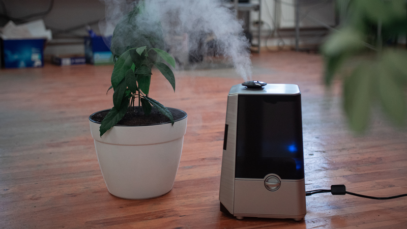 Máy lọc không khí dùng sai cách có thể tạo ozone, gây kích ứng hô hấp và làm nặng hơn các bệnh về phổi