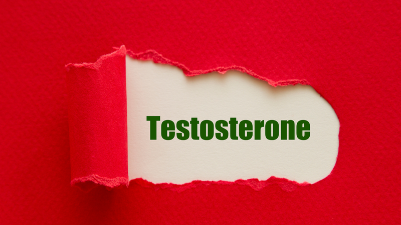 Tế bào Leydig là trung tâm sản xuất androgen, đặc biệt là testosterone cho cơ thể nam giới