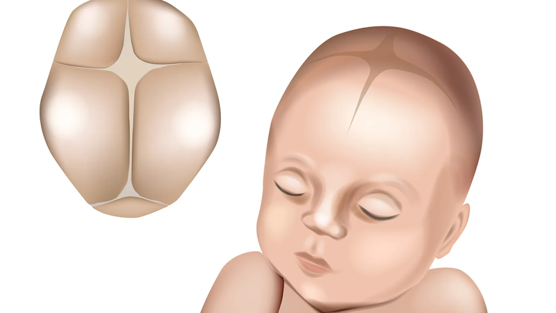 Thóp trẻ sơ sinh khi nào đóng là câu hỏi được cha mẹ quan tâm khi theo dõi sự phát triển của trẻ