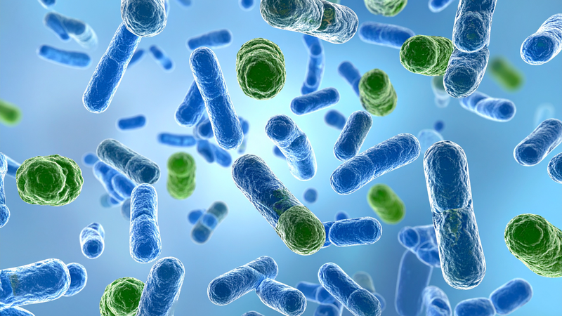 Nước uống cần kiểm soát vi sinh như E. coli, Coliform và ký sinh trùng để tránh gây bệnh đường ruột nguy hiểm