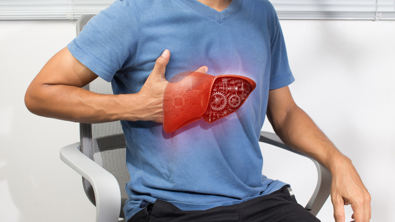 Gan là cơ quan chính chuyển hóa rượu bia, dễ bị tổn thương nếu lạm dụng