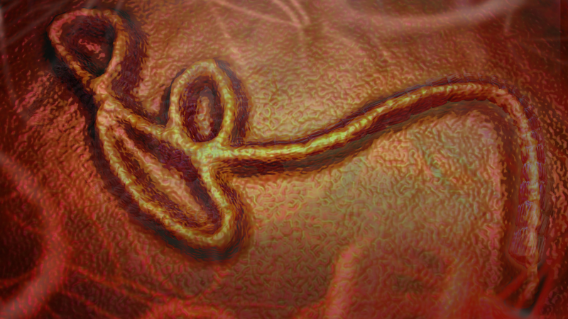Virus Ebola Zaire là một loài virus Ebola nguy hiểm, có thể gây bệnh sốt xuất huyết Ebola
