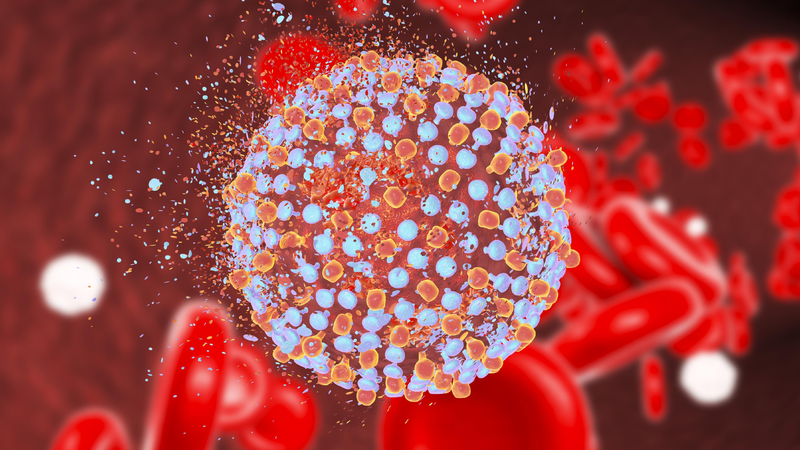 Virus viêm gan C sống được bao lâu là thắc mắc thường gặp