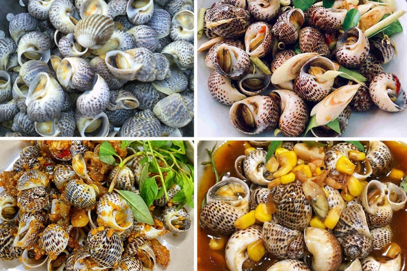 Ăn ốc bông có tác dụng gì? Ai không nên ăn ốc bông? 1