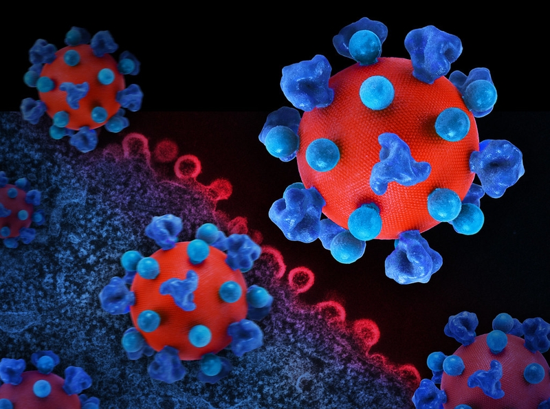 Bị người HIV cắn có lây không? HIV không lây truyền qua những con đường nào? 1