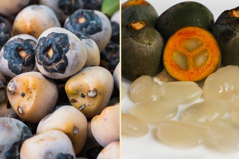 Bỏ túi ngay cách bảo quản hạt đác tươi đơn giản ngay tại nhà 3