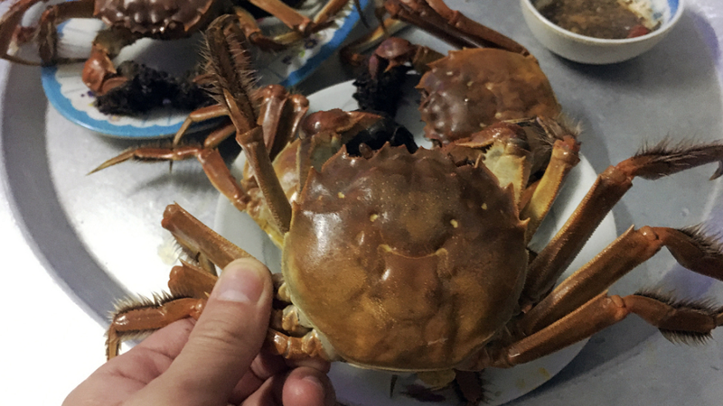Các loại cua biển phổ biến ở Việt Nam và lợi ích khi ăn cua 1