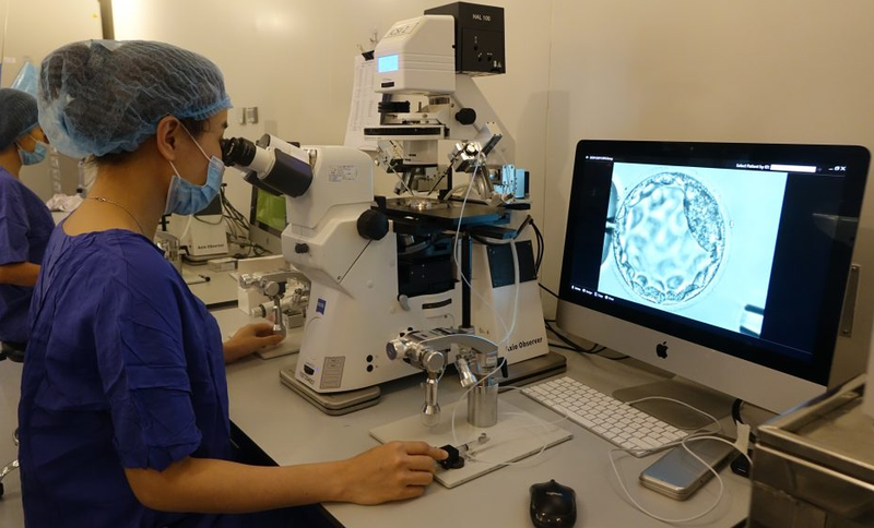 Cấy phôi thai: Yếu tố quyết định sự thành công của thụ tinh trong ống nghiệm 4