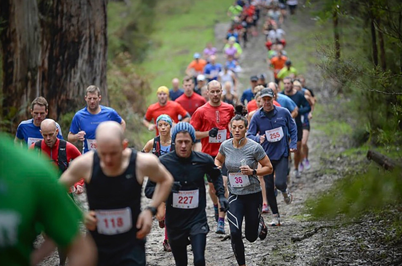 Chạy trail​ là gì? Những lưu ý khi đổi từ chạy road sang chạy trail 2