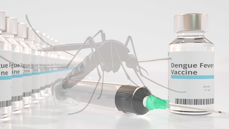 thuc-trang-trien-khai-vaccine-sot-xuat-huyet-o-viet-nam 2