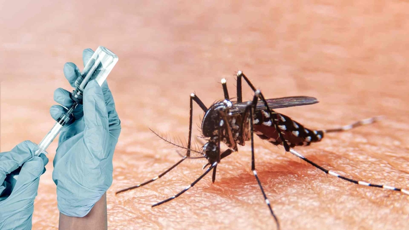 thuc-trang-trien-khai-vaccine-sot-xuat-huyet-o-viet-nam 4