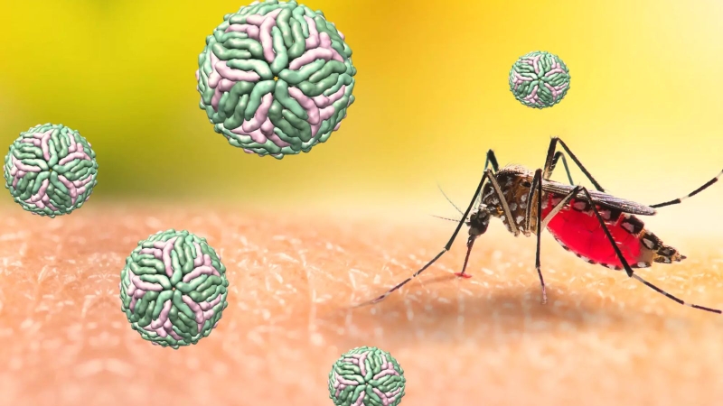 goc-giai-dap-da-bi-sot-xuat-huyet-co-can-tiem-phong-khong 4