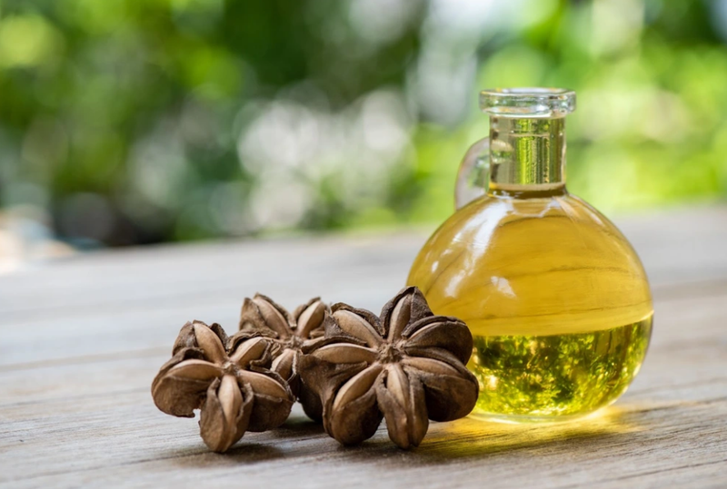 Dầu Sachi: Thành phần dinh dưỡng, lợi ích với sức khỏe 1