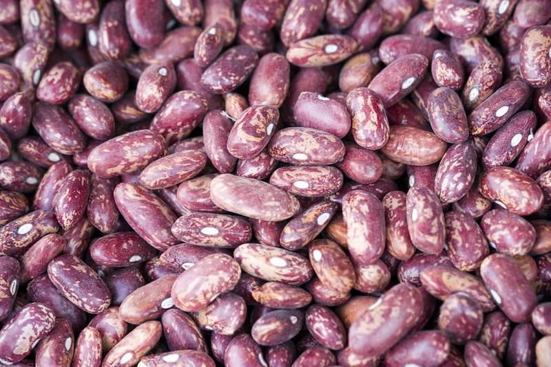 Đậu tây là đậu gì? Những công dụng bất ngờ của đậu tây 1