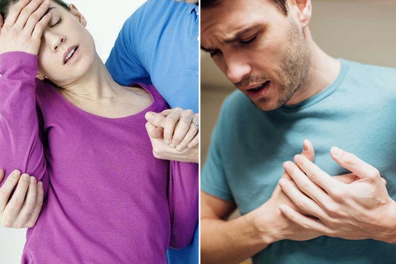 Đậu tây là đậu gì? Những công dụng bất ngờ của đậu tây 3