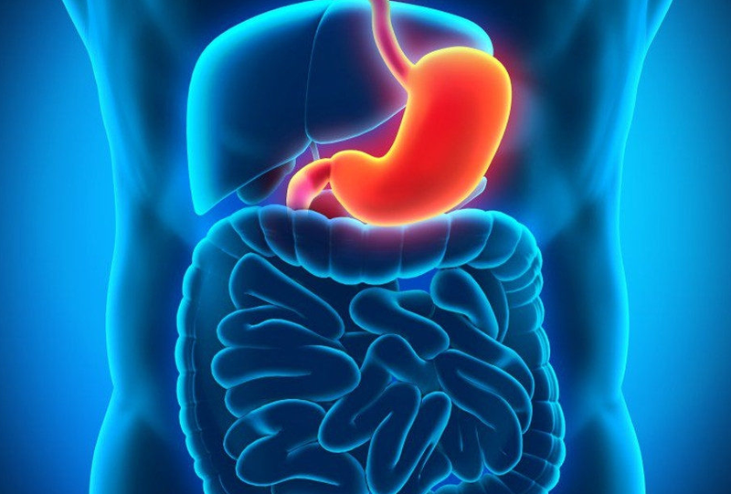 Giải đáp thắc mắc: Viêm dạ dày có gây mệt mỏi không? Vì sao? 1