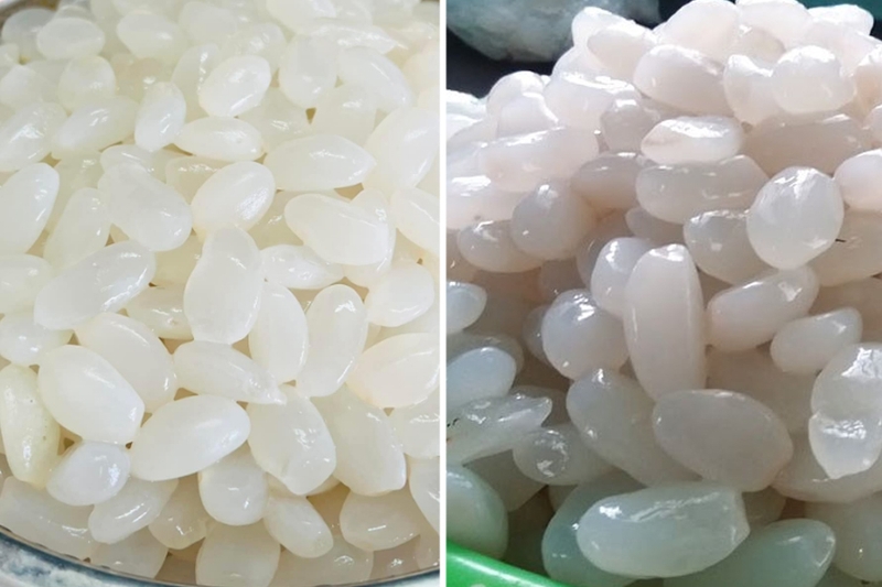 Hạt đác bao nhiêu calo? Ăn hạt đác có mập không? 4