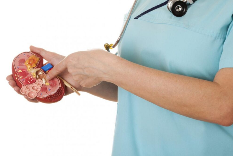 Hình ảnh nang thận trên siêu âm cho biết điều gì? 1