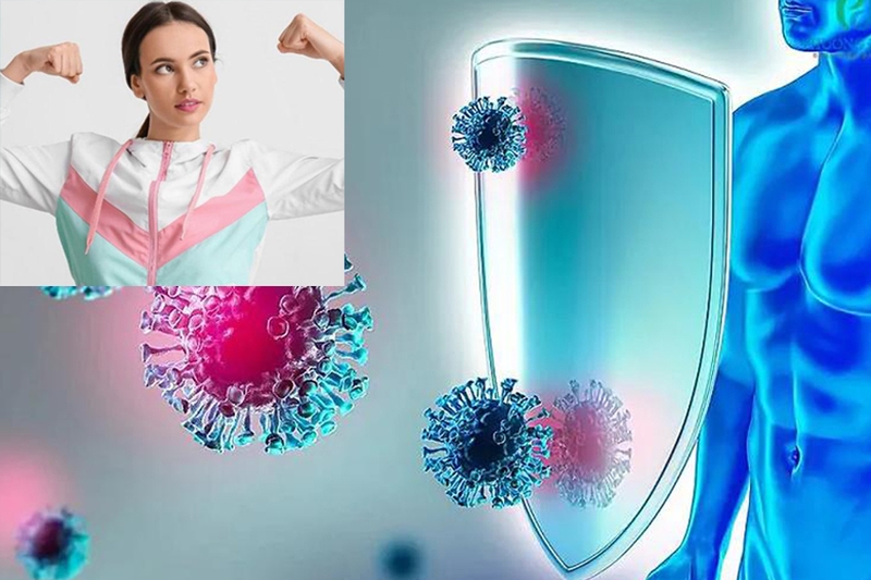 Miễn dịch tập nhiễm là gì? Vai trò của miễn dịch tập nhiễm trong bảo vệ sức khỏe 1