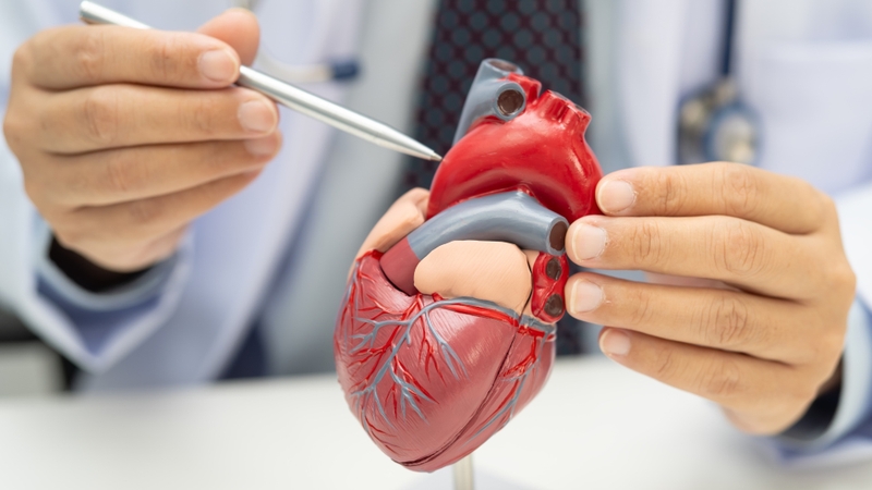 Cần chuẩn bị kỹ lưỡng trước khi mổ tim bẩm sinh để đảm bảo an toàn