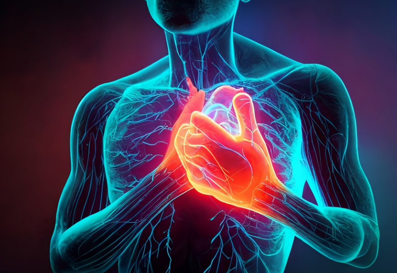 Những yếu tố nguy cơ ảnh hưởng đến hệ tuần hoàn 2