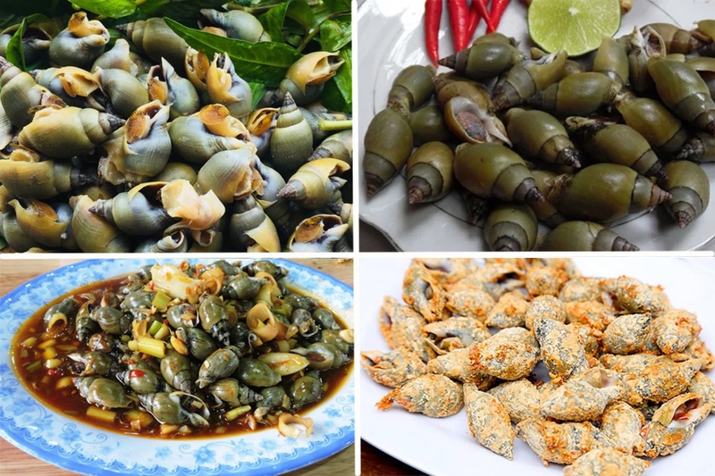 Ốc cà na có tác dụng gì với sức khỏe? Ăn nhiều có tốt không? 1