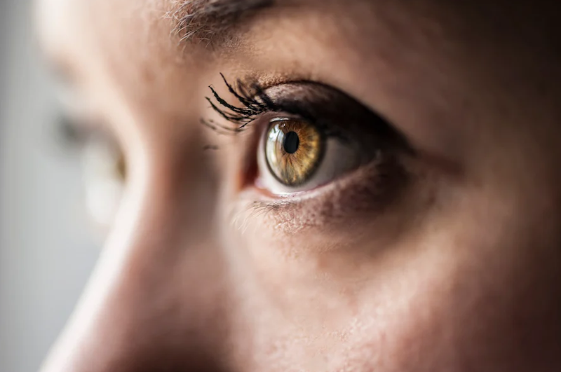 Ốc cà na có tác dụng gì với sức khỏe? Ăn nhiều có tốt không? 3