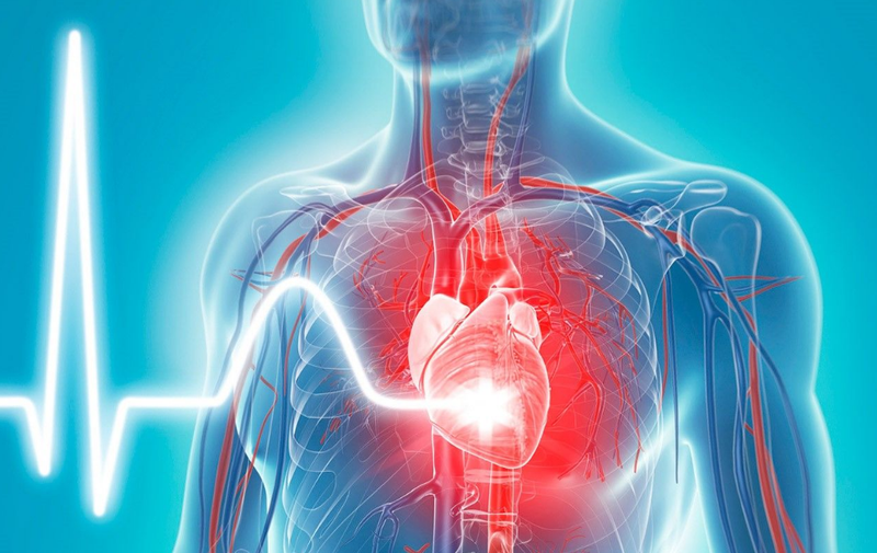 Ổi ruột đỏ: Giá trị dinh dưỡng và công dụng với sức khỏe thế nào? 3