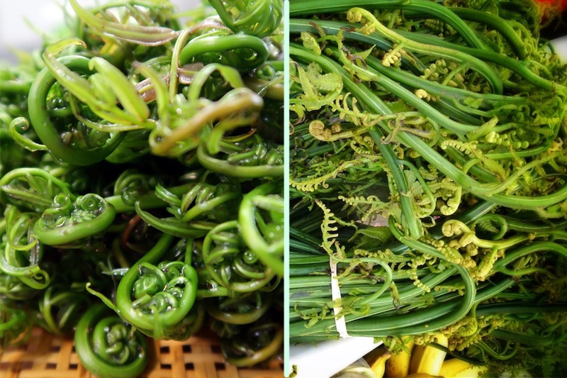 Rau choại​ là rau gì? Có lợi ích gì đối với sức khỏe? 2