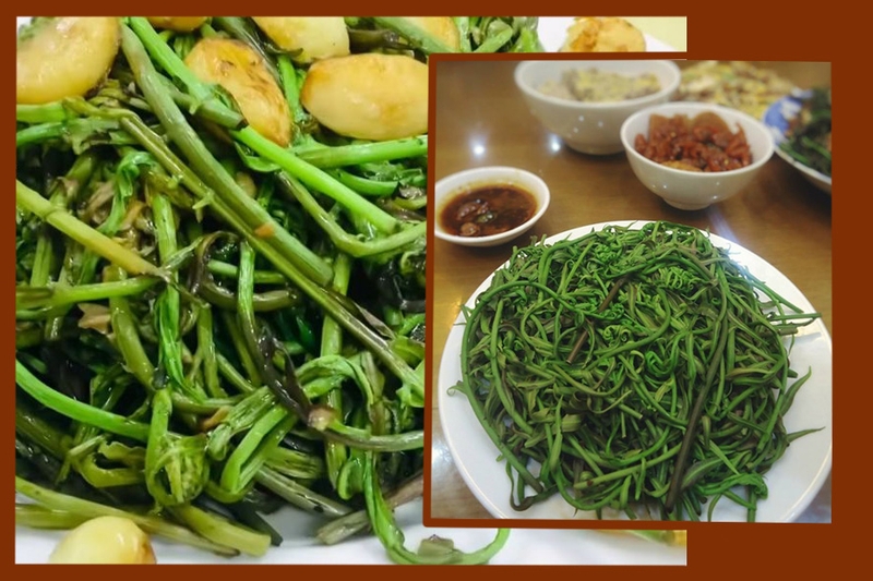 Rau choại​ là rau gì? Có lợi ích gì đối với sức khỏe? 4