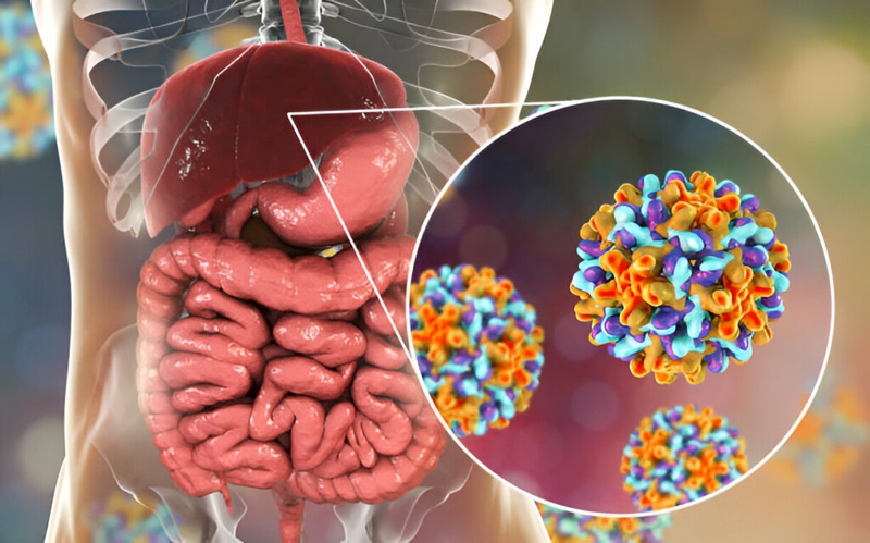 Rau má có mấy loại? Ăn như thế nào thì tốt? 5
