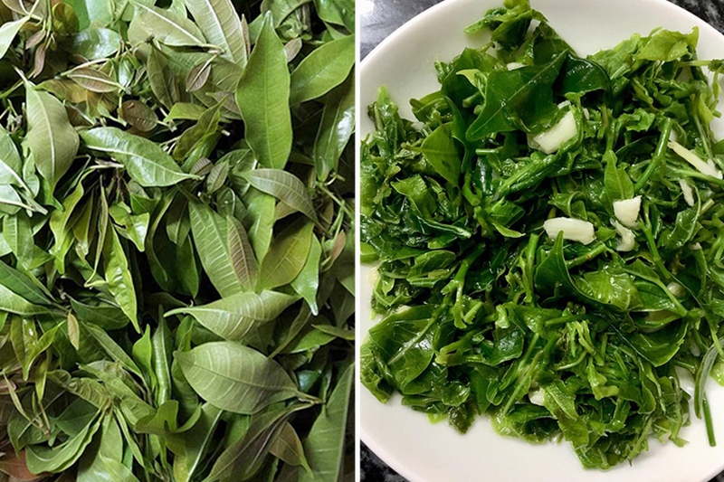 Rau mít rừng là rau gì? Thành phần dinh dưỡng và lợi ích sức khỏe 1
